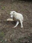 Exkurze do ZOO