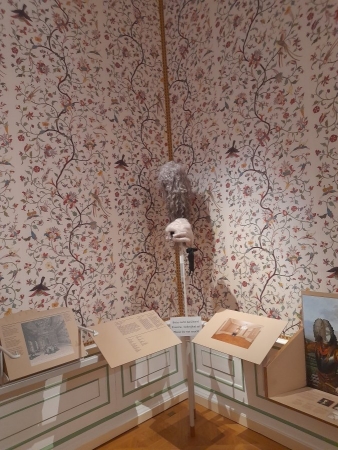 Rakousko - Hof