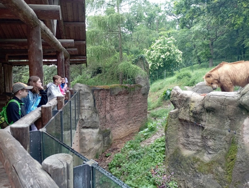Návštěva ZOO Brno