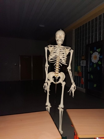 Stezka odvahy 2023