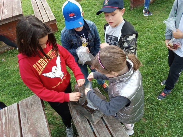 Učíme se venku - AJ - Worm farm 3. B