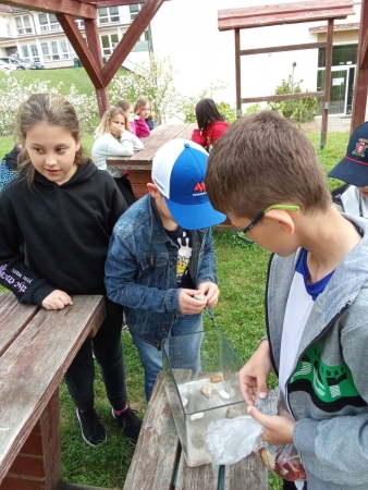 Učíme se venku - AJ - Worm farm 3. B