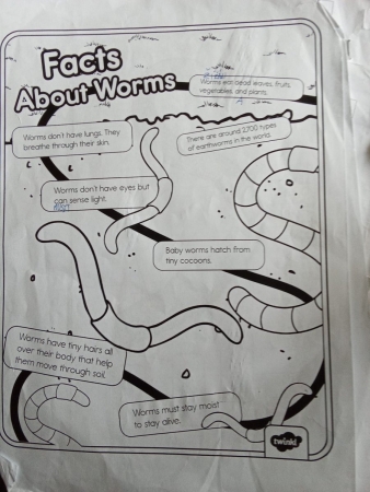 Učíme se venku - AJ - Worm farm 3. B