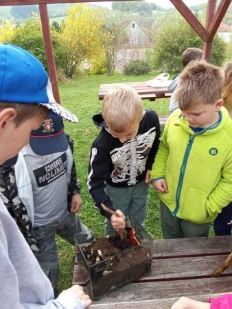 Učíme se venku - AJ - Worm farm 3. B