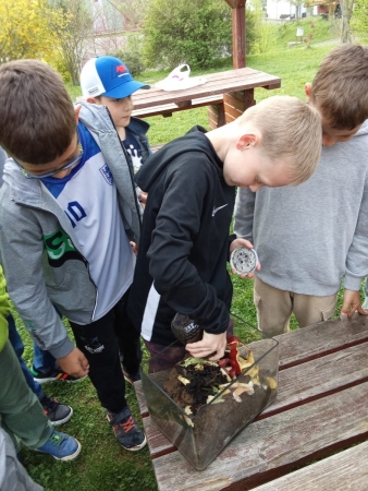 Učíme se venku - AJ - Worm farm 3. B