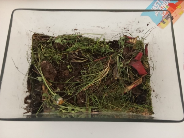 Učíme se venku - AJ - Worm farm 3. B