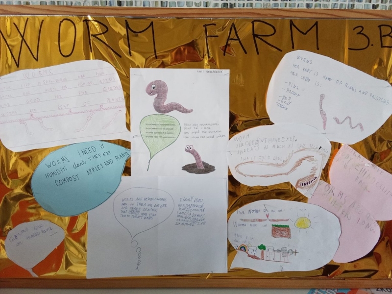 Učíme se venku - AJ - Worm farm 3. B