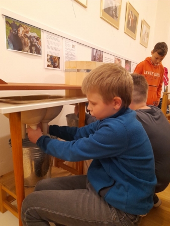 Moravské zemské muzeum