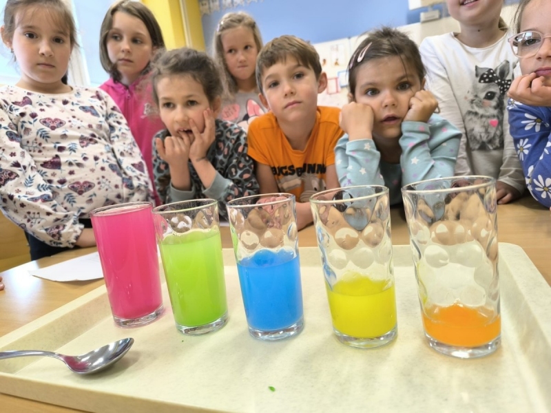 Projektová výuka 1.A a 1.B