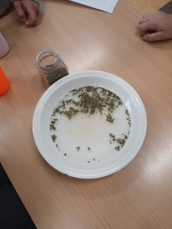 Projektová výuka 1.A a 1.B