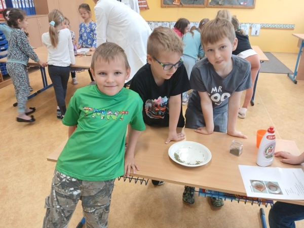 Projektová výuka 1.A a 1.B