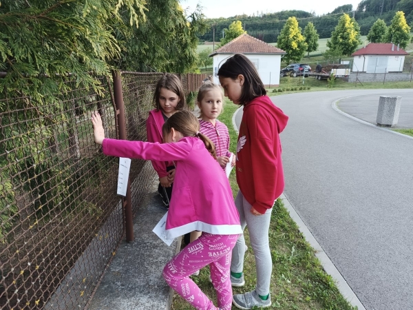 Květnové spaní v školní družině
