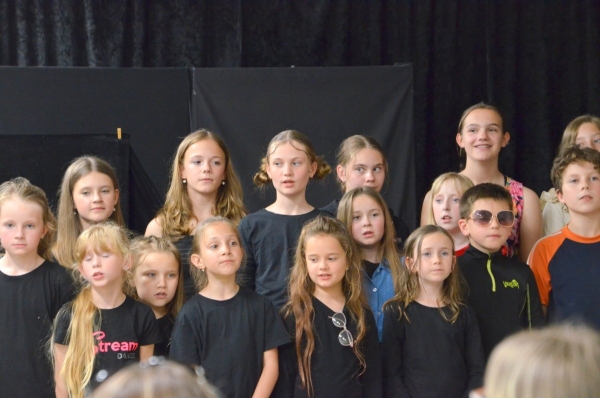 Divadelní představení hudebně - dramatických kroužků