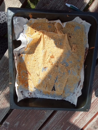 Angličtina akčně v podání 9. ročníku