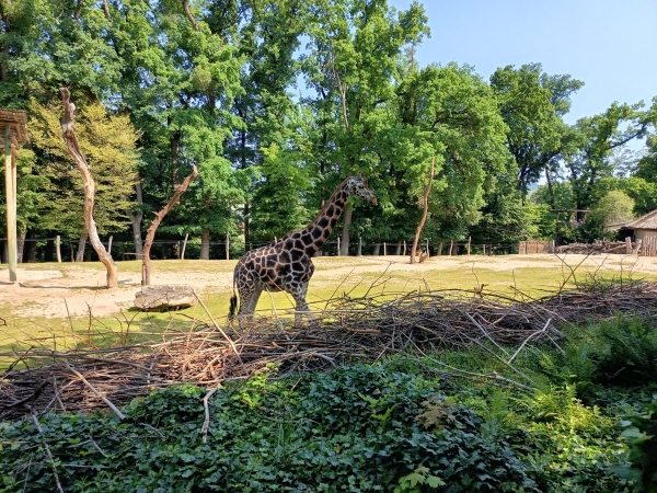 Výlet do ZOO Lešná