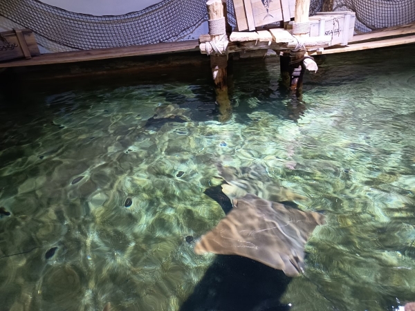 Výlet do ZOO Lešná