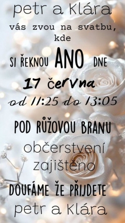 Ve výchově k občanství jsme měli svatbu :)