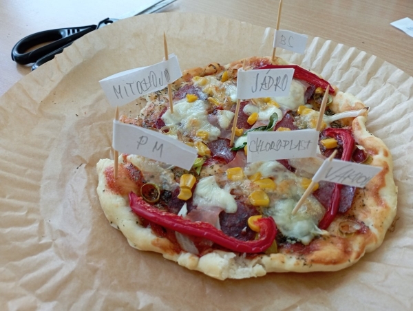 Jak jsme „pekli“ buňky