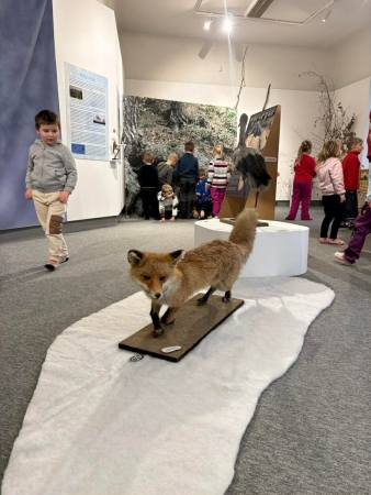 Výlet do Předklášteří