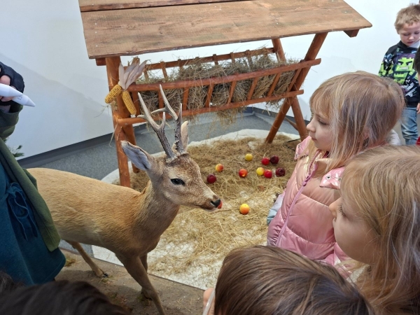 1. B - Předklášteří - výstava zvířátek