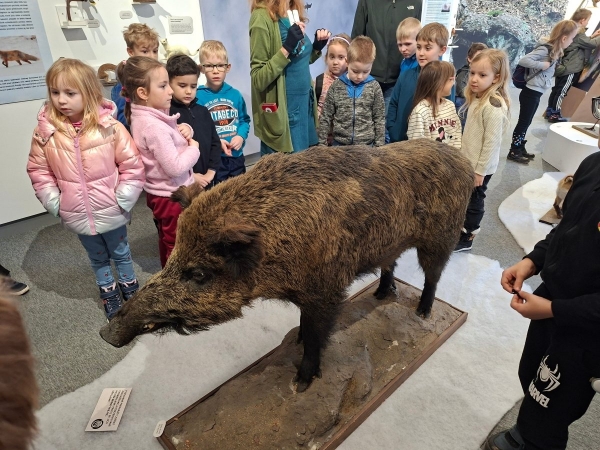 1. B - Předklášteří - výstava zvířátek