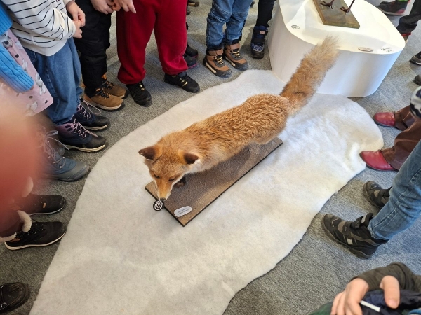 1. B - Předklášteří - výstava zvířátek