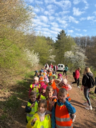 Ohlédnutí za pěším výletem do Brusné