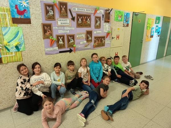 Ze života králíků