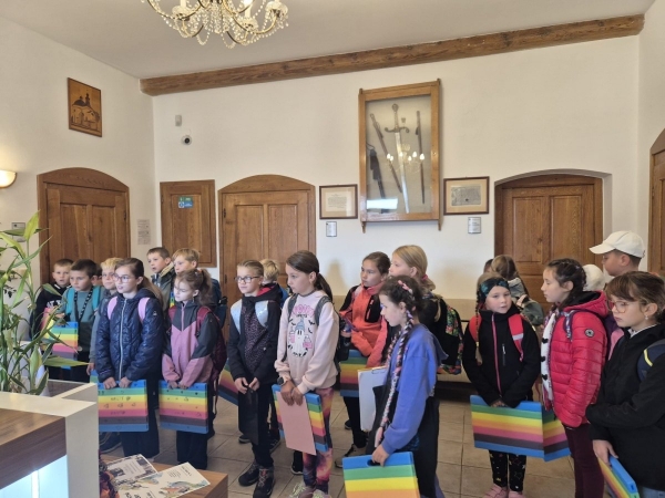 Projekt Lomnice