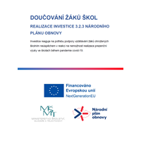Doučování žáků škol