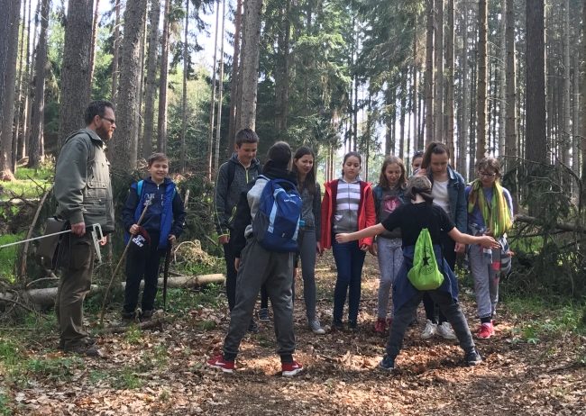 Lesní naučná stezka v Lomnici