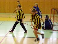 Sportovní úspěchy florbalistů