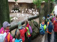 Výlet do Zoo Jihlava